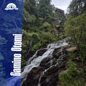 Camino Otomi